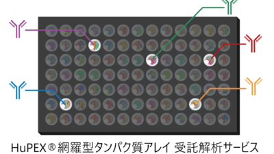 HuPEX®のウェブ対談（第1回）を2024年10月23日(水)に開催します。HuPEX® will hold its first web conversation on Wednesday, October 23, 2024.